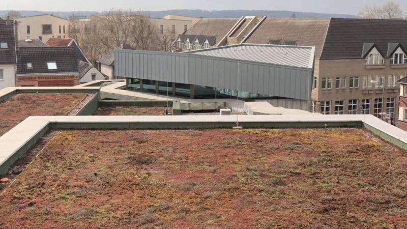 Stadt Ratingen informiert: Förderprogramm zur Begrünung von Gebäuden erweitert