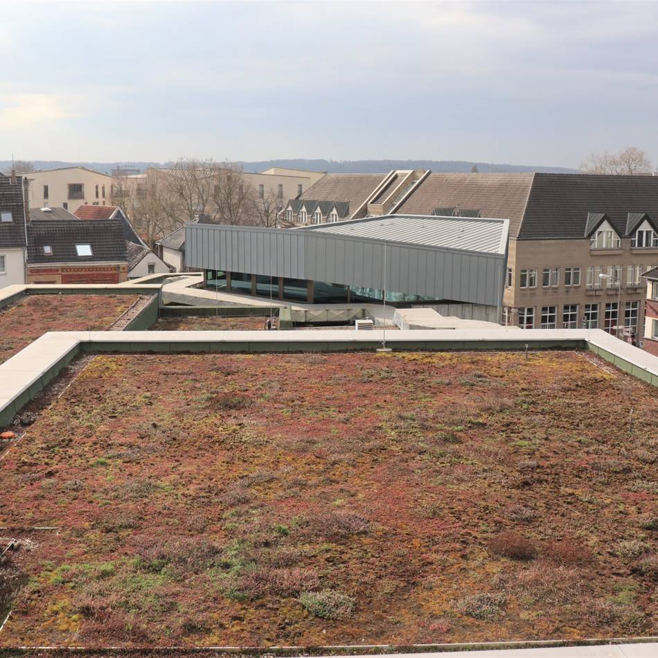 Stadt Ratingen informiert: Förderprogramm zur Begrünung von Gebäuden erweitert