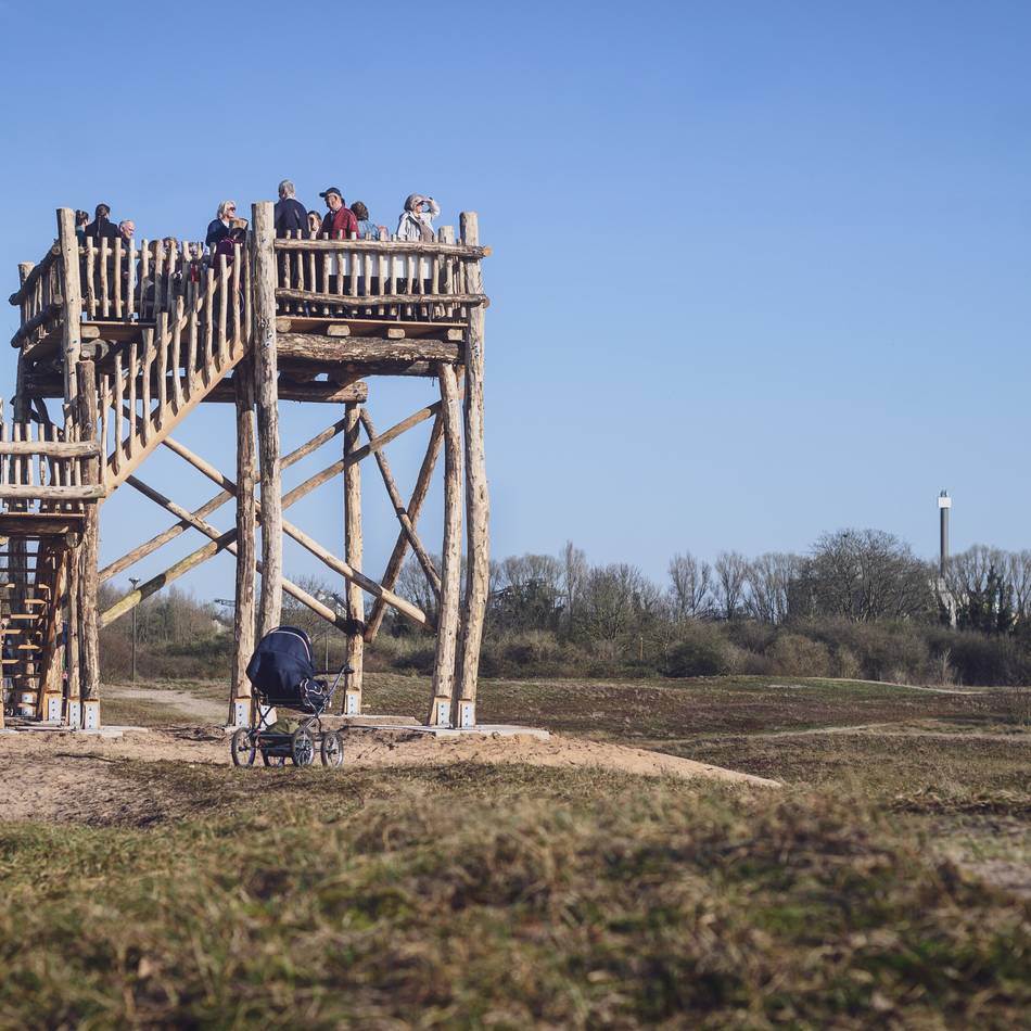 Neuer Aussichtsturm in Kalkar: Die entscheidenden Meter für den Perspektivwechsel in den Wisseler Dünen