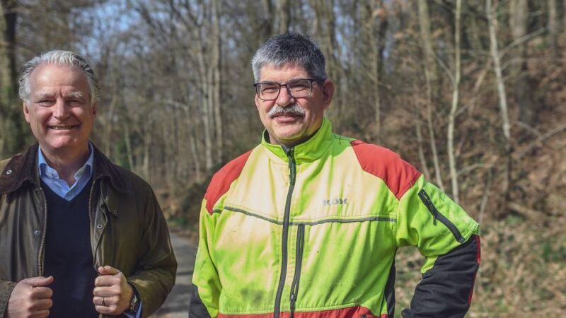 Große Rodungsmaßnahme in Goch: Am Hang des Kalbecker Waldes drohen alte Eichen abzurutschen