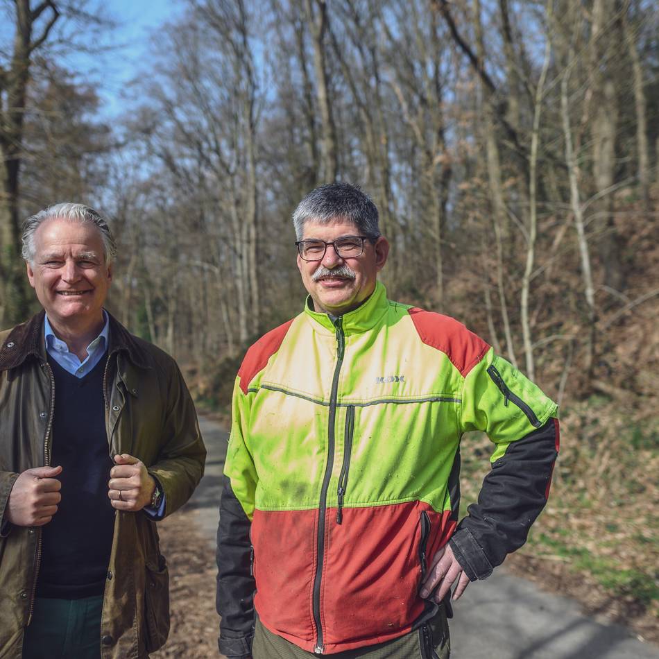 Große Rodungsmaßnahme in Goch: Am Hang des Kalbecker Waldes drohen alte Eichen abzurutschen