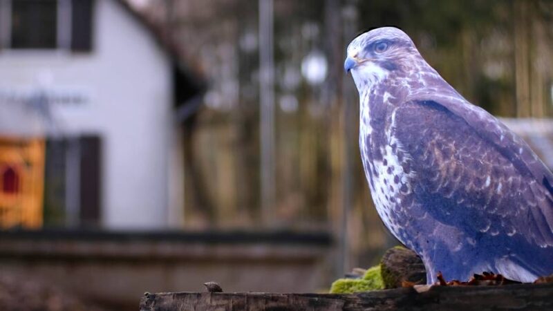 Ausgehen in Heiligenhaus: So geht es in den Kultur-Frühling