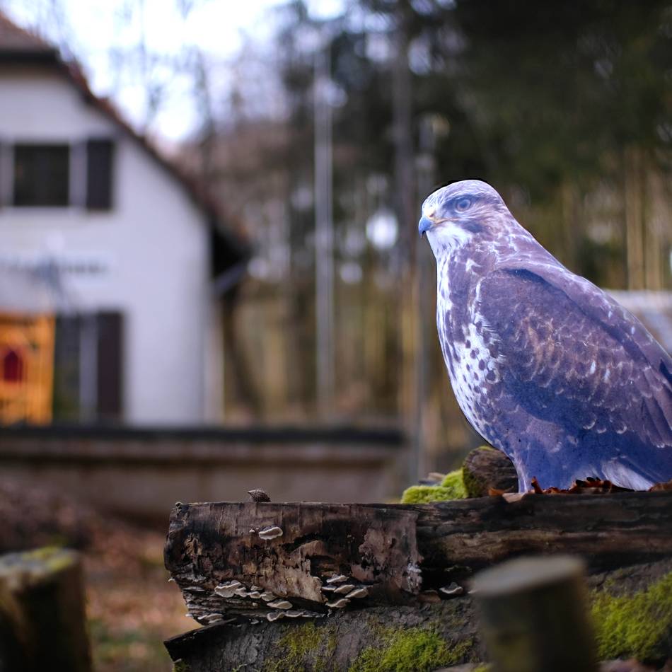 Ausgehen in Heiligenhaus: So geht es in den Kultur-Frühling