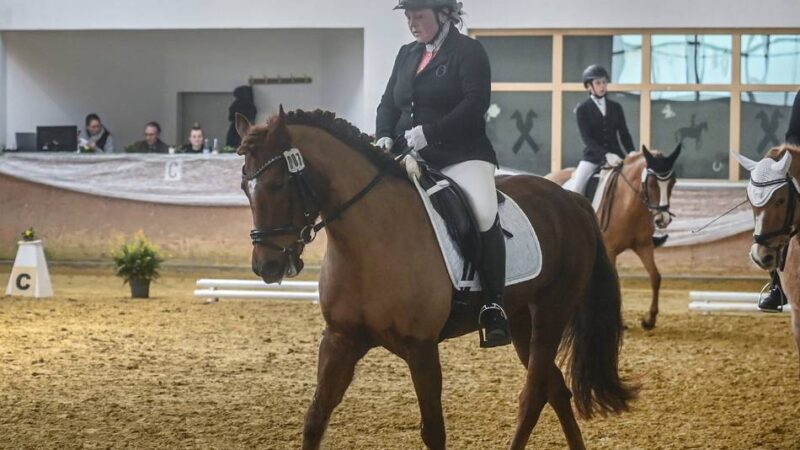 Reitsport am Niederrhein: Zweitägiges Dressurturnier in Kalkar zieht Nachwuchs und Spitzenreiter an