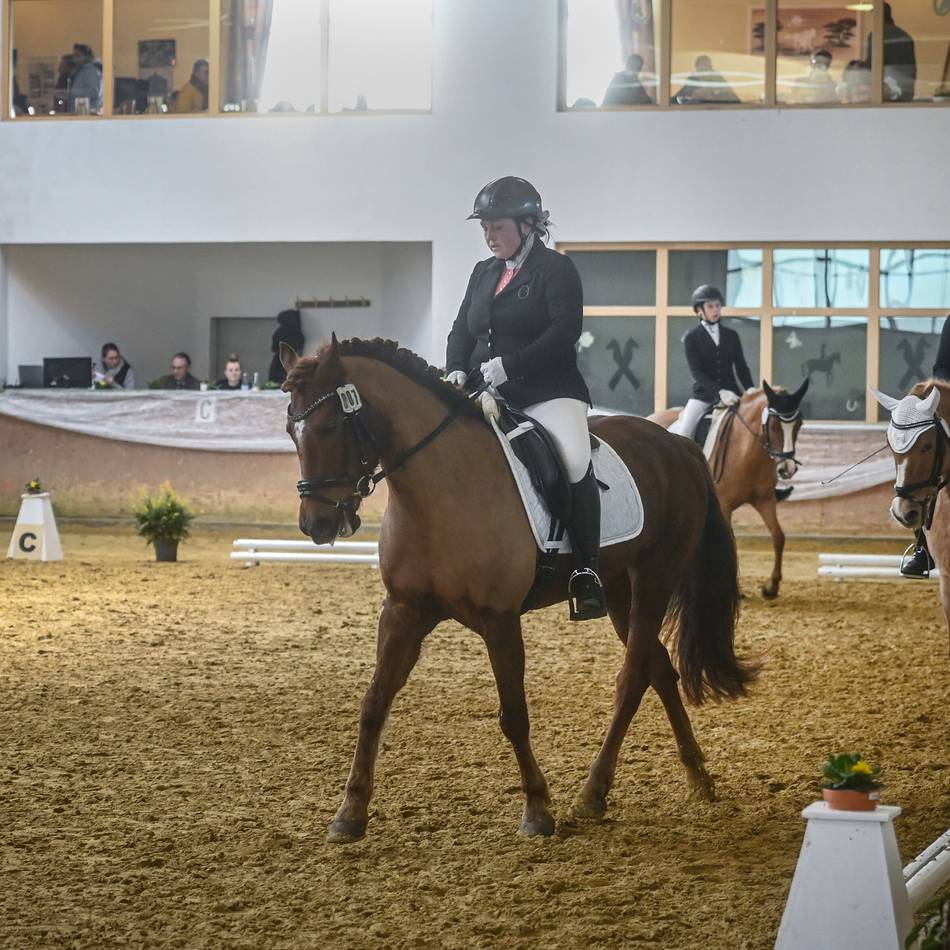 Reitsport am Niederrhein: Zweitägiges Dressurturnier in Kalkar zieht Nachwuchs und Spitzenreiter an