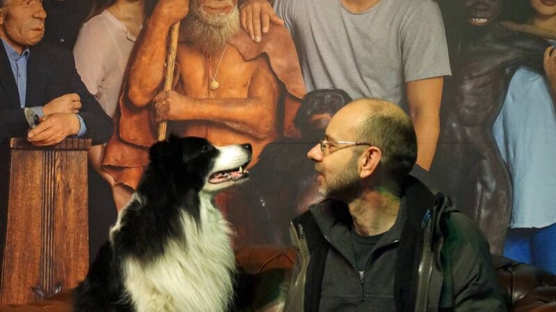 Neanderthal Museum: Spurensuche nach dem ältesten Freund des Menschen