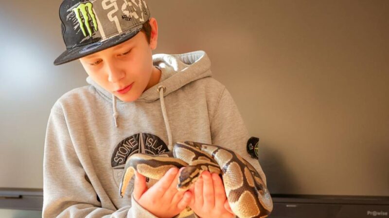 Unterricht in Krefeld mit Kornnatter, Rennmäusen & Co.: Die Schule der magischen Tiere