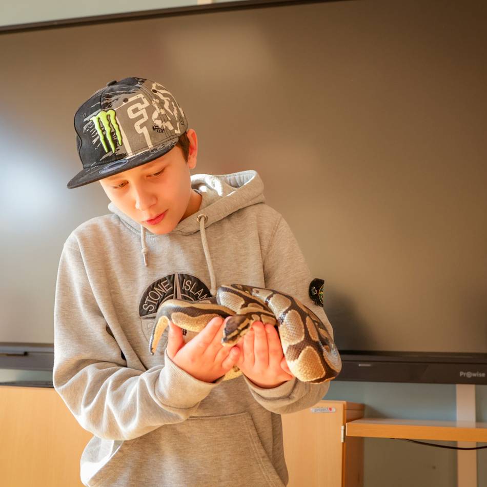 Unterricht in Krefeld mit Kornnatter, Rennmäusen & Co.: Die Schule der magischen Tiere