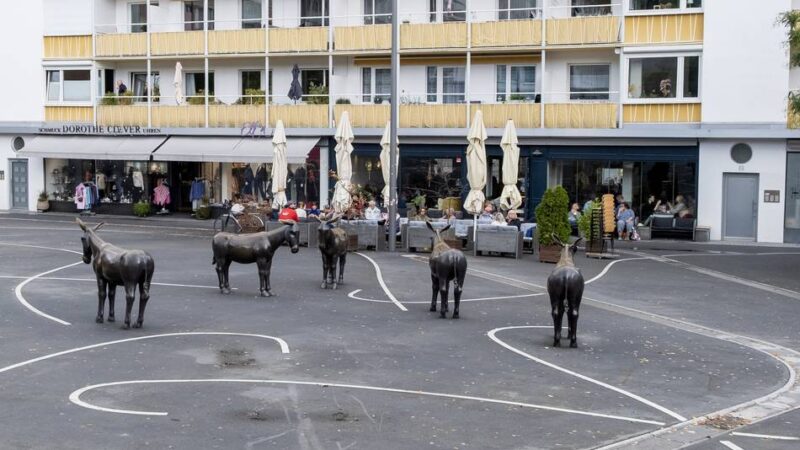 Seit Monaten verschwunden: Wo stecken die Esel am Sonnenhausplatz?