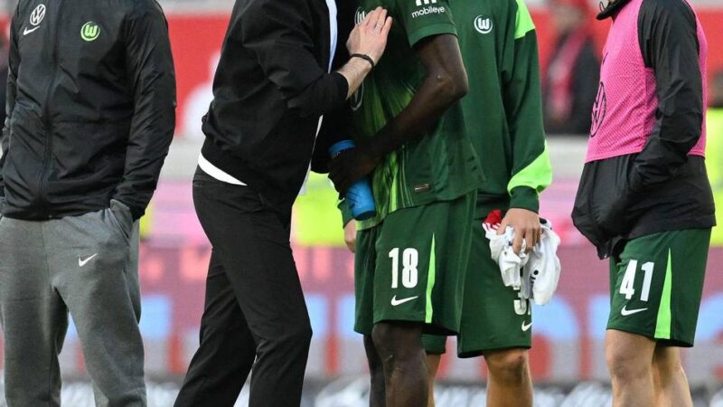 Nach Absturz auf Abstiegsplatz: Wolfsburg-Coach Bauer vor dem Aus – kehrt Hecking in die Bundesliga zurück?