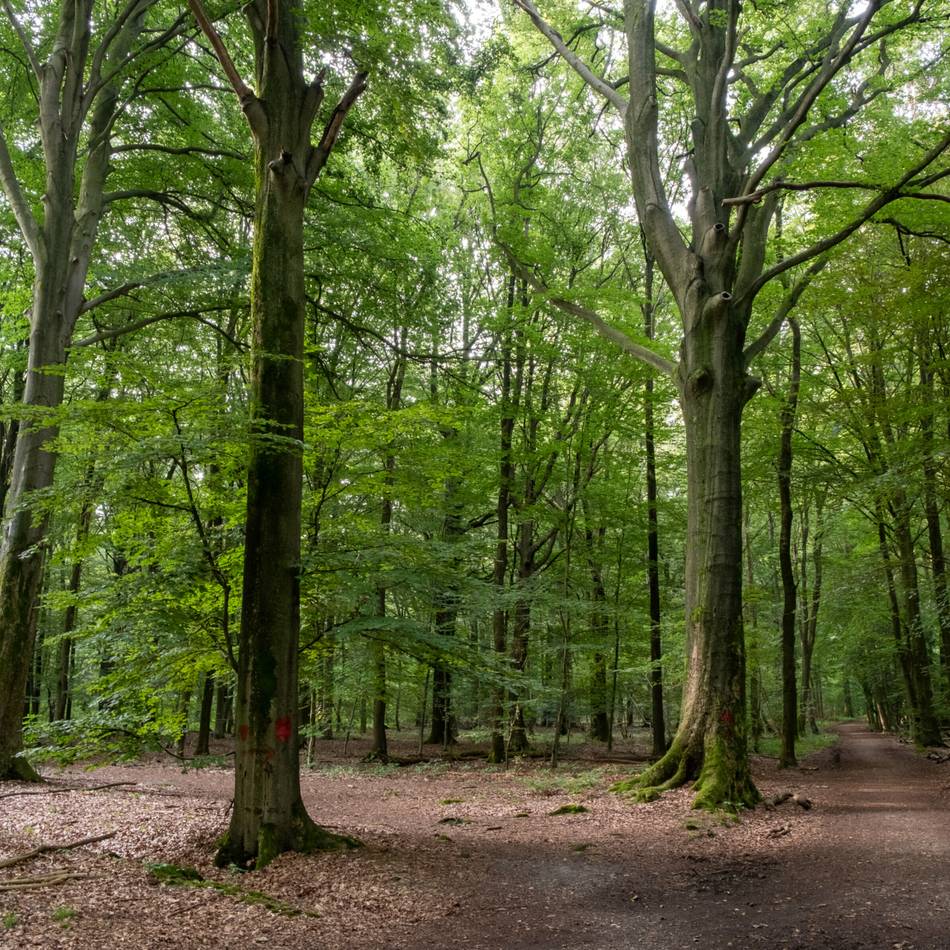 Schulwettbewerb in Mönchengladbach: Anmeldung für „Clean & Green ist cool“ läuft