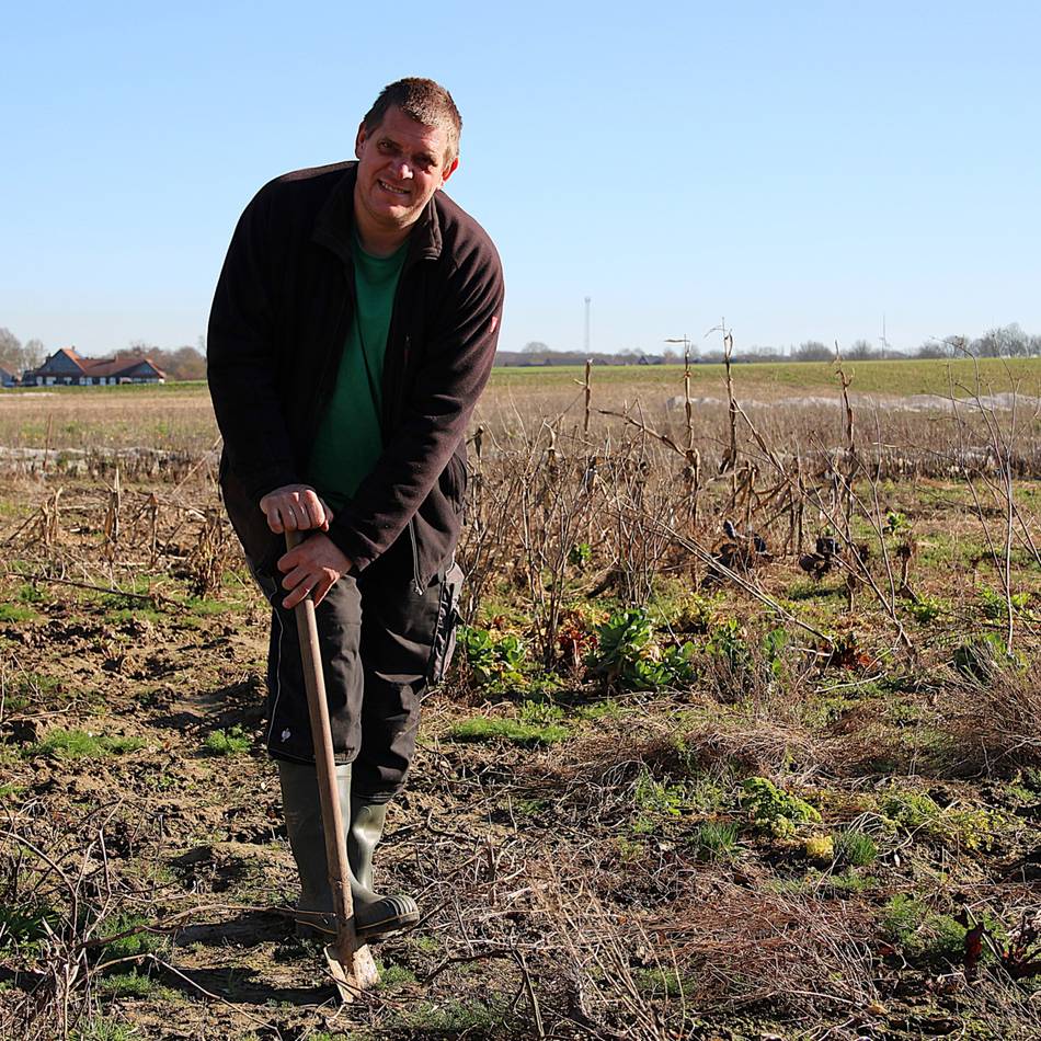 Selbsternte auf Jüchener Biohof: Selbsternte in Jüchen – Vom Acker frisch auf den Tisch