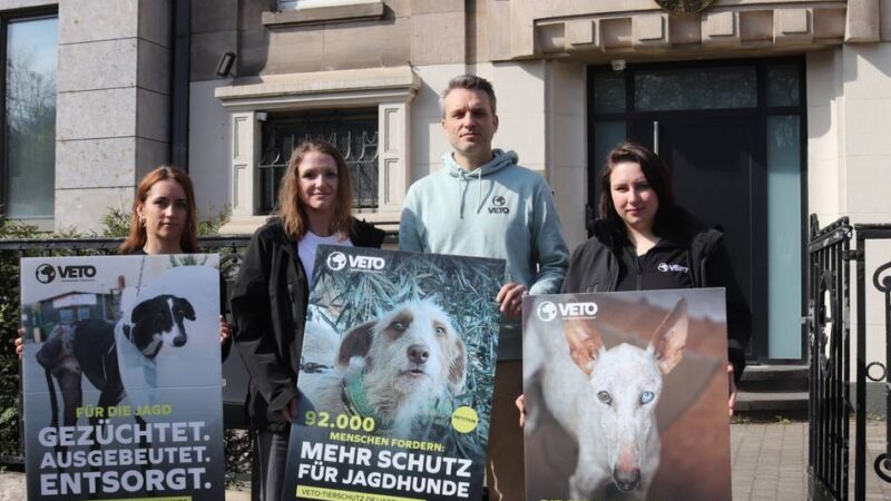 Tierschutzorganisation in Moers: 92.000 Unterschriften für Schutz von Jagdhunden in Spanien