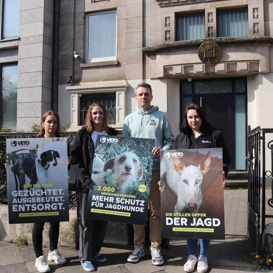Tierschutzorganisation in Moers: 92.000 Unterschriften für Schutz von Jagdhunden in Spanien