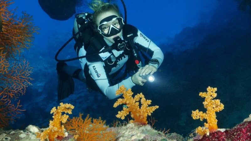 Neusser Filmemacher: Schillernde Unterwasserwelten vor der Linse