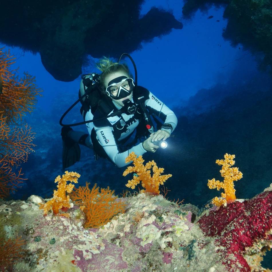 Neusser Filmemacher: Schillernde Unterwasserwelten vor der Linse