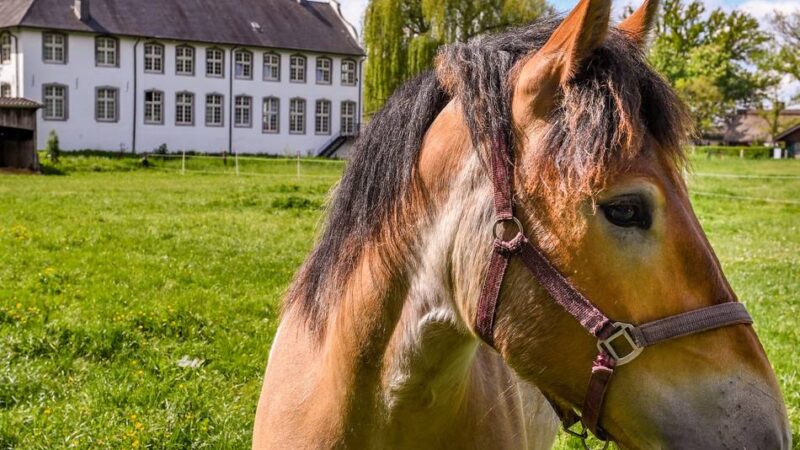 Unsere Gemeinde: Sport und Freizeit im Fokus