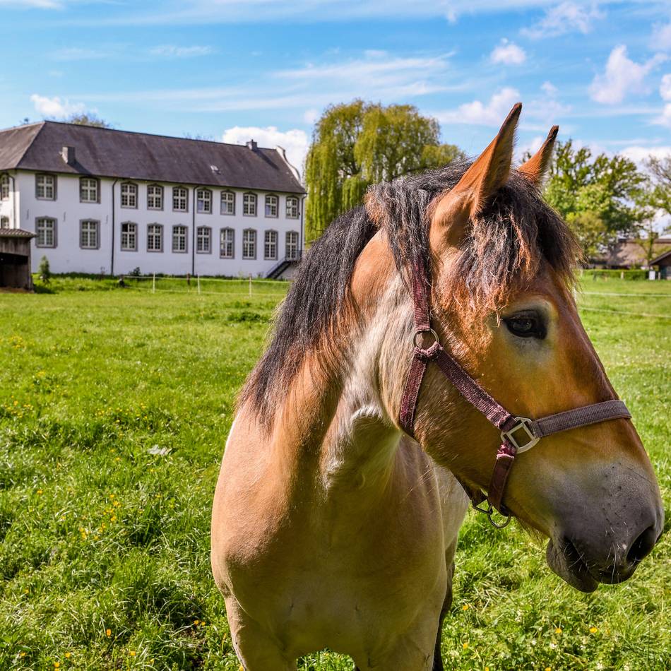 Unsere Gemeinde: Sport und Freizeit im Fokus