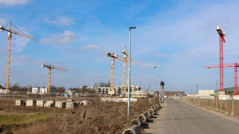 Aktuelle Grundstückspreise in Duisburg: Hier kostet der Quadratmeter Bauland fast 1000 Euro