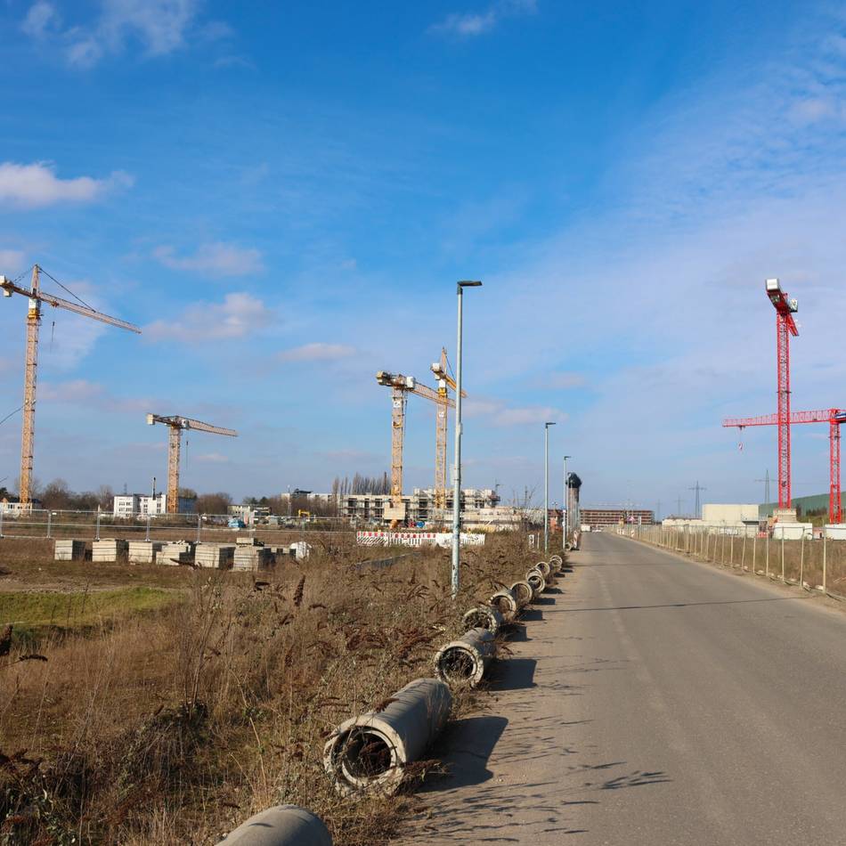 Aktuelle Grundstückspreise in Duisburg: Hier kostet der Quadratmeter Bauland fast 1000 Euro