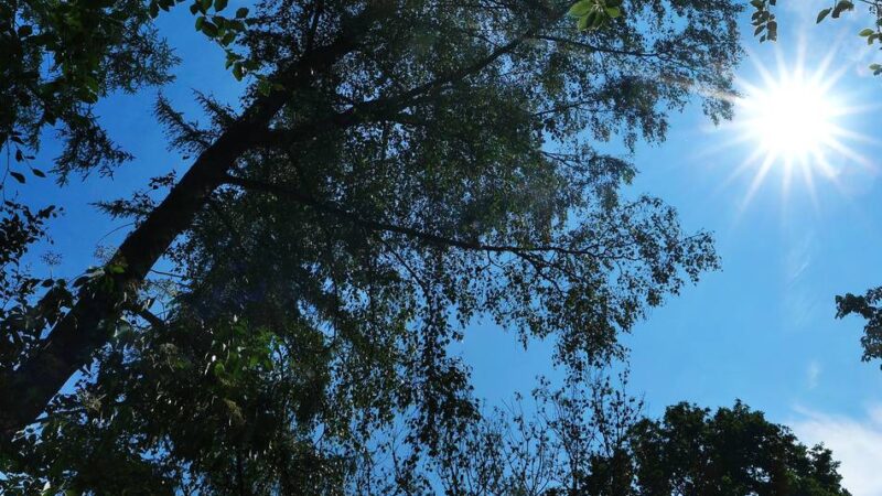 Gemeinsamer Antrag von CDU und Grünen: Politik will Hitzeschutz verstärken