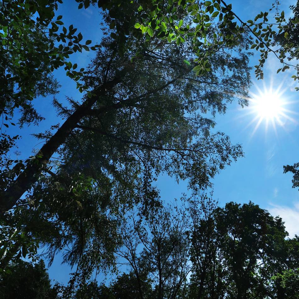 Gemeinsamer Antrag von CDU und Grünen: Politik will Hitzeschutz verstärken