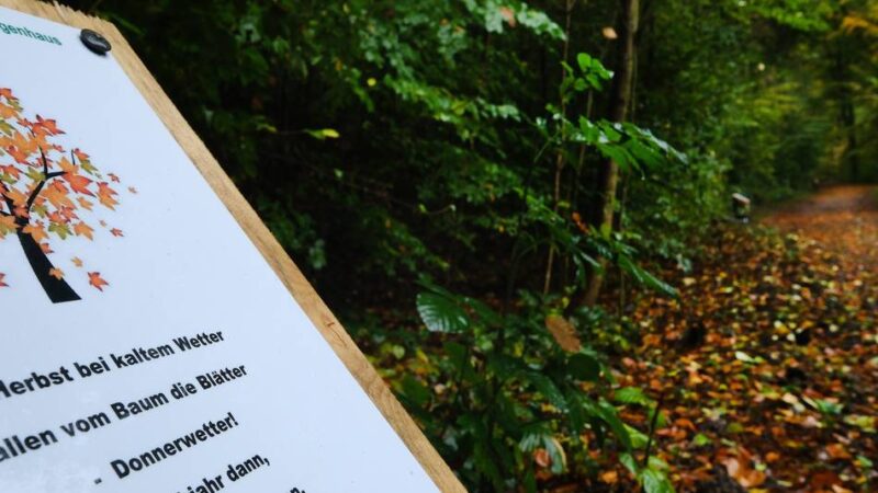 Ausschuss entscheidet: Fünf Bewerber für den Ehrenamtspreis