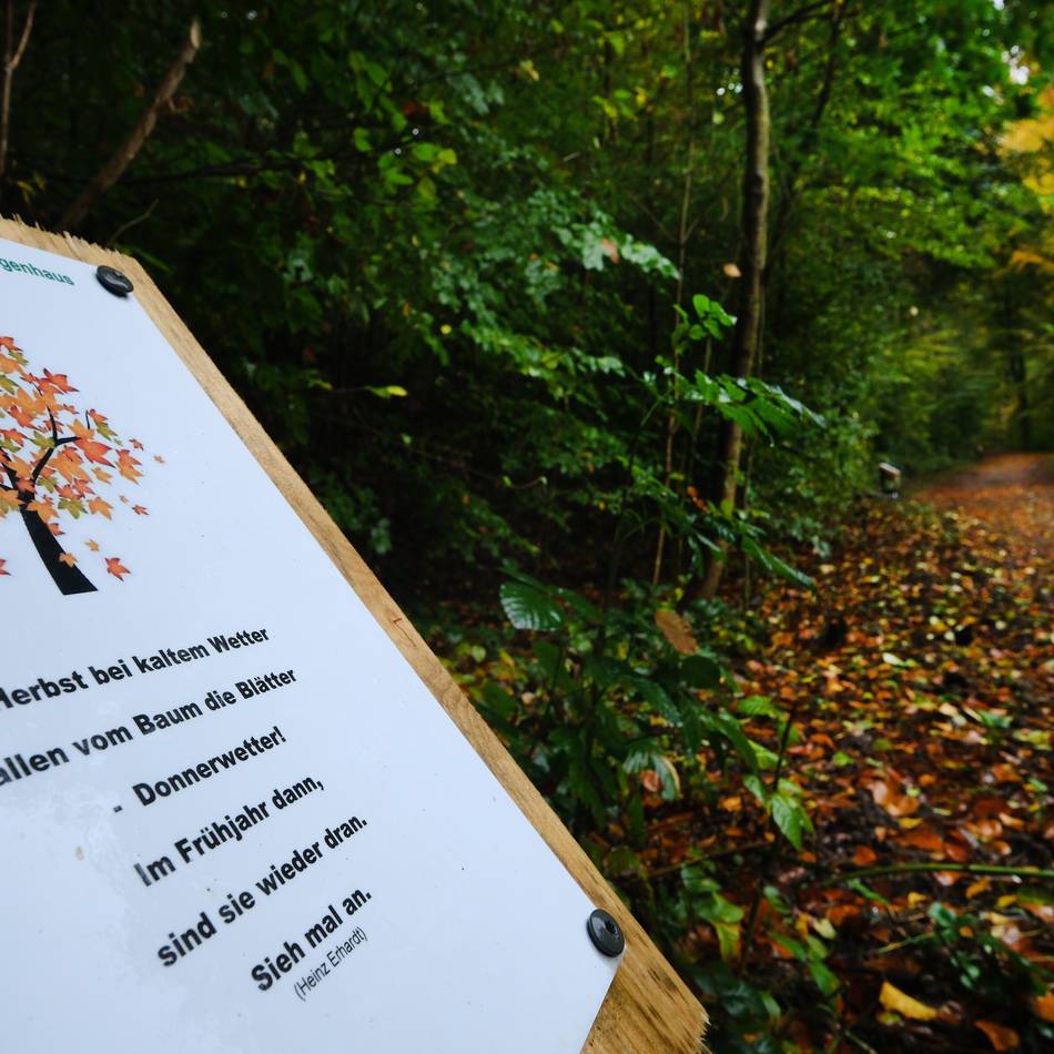 Ausschuss entscheidet: Fünf Bewerber für den Ehrenamtspreis