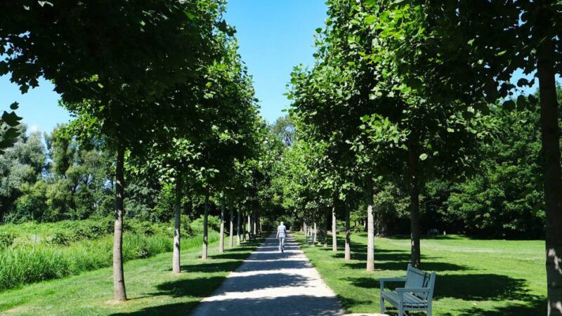 Wichtige Details: Poensgenpark: So läuft das Parkleuchten am Wochenende ab