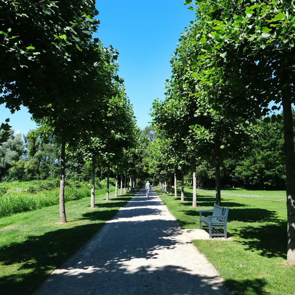 Wichtige Details: Poensgenpark: So läuft das Parkleuchten am Wochenende ab