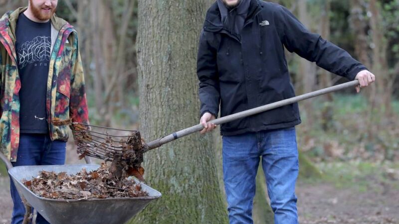 Ehrenamtliche für Frühjahrsputz gesucht: Neues Spielgerät wird auf dem Waldspielplatz Bönninghardt „freigeschaltet“