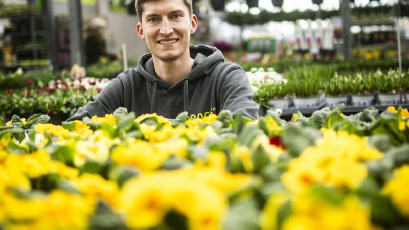 Freizeit in Meerbusch: Stiefmütterchen, Forsythien oder Bärlauch – so kommt der Frühling in die Gärten