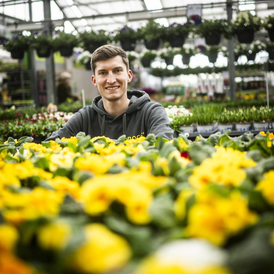 Freizeit in Meerbusch: Stiefmütterchen, Forsythien oder Bärlauch – so kommt der Frühling in die Gärten