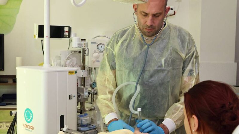 Elisabeth-Krankenhaus in Mönchengladbach: „Birth Trolley“ im Kreißsaal – warum spätes Abnabeln wichtig ist