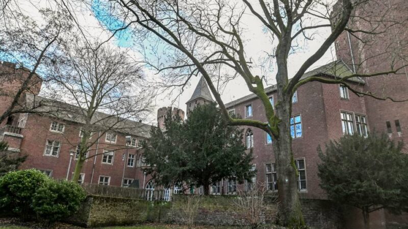 Kempen: Buche an der Burg ist krank