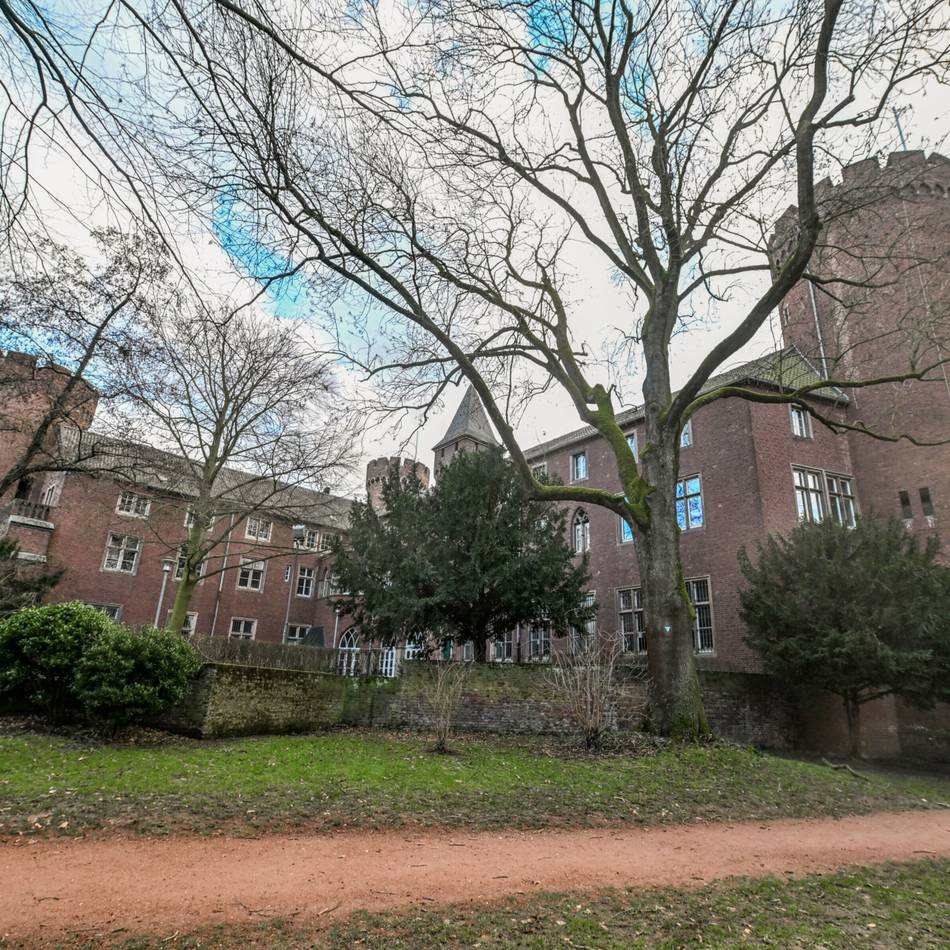 Kempen: Buche an der Burg ist krank