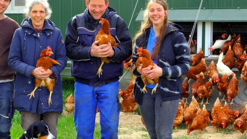 Produzent aus Neukirchen-Vluyn: „Noch haben wir genug Eier“