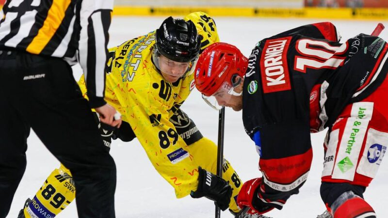Krefeld Pinguine starten in Play-offs: Warum die ersten Minuten gegen Landshut entscheidend für die ganze Serie werden