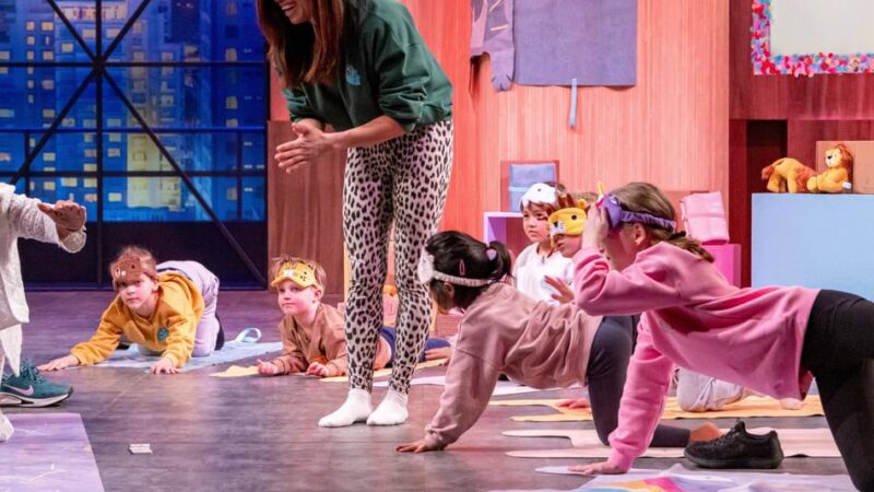 „Yogitier“ von Fei Schäfer: Mönchengladbacher Gründerin in der „Höhle der Löwen“