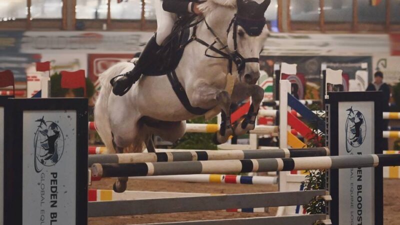 Die Höhepunkte im Überblick: So lief das Springfestival für den Reiternachwuchs