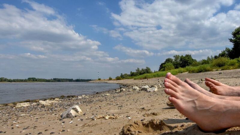 Saftiges Bußgeld vorgesehen: Stadt Kleve plant generelles Badeverbot im Rhein