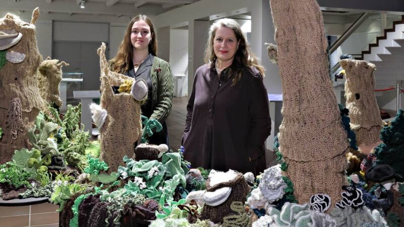 „Sehnsucht Wald“: Neue Ausstellung im Textilmuseum Krefeld zeigt über 160 Arbeiten