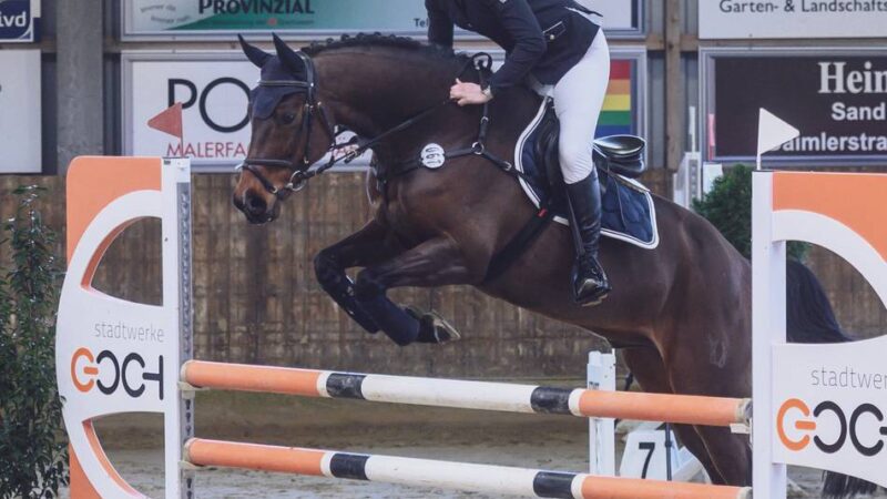 Alle Erwartungen übertroffen: Die Zukunft des Reitsports begeistert in Goch