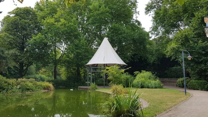 Vorhaben in Meerbusch: Warum die Fische im Rathauspark umziehen müssen