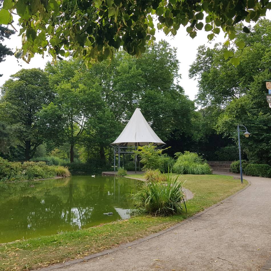 Vorhaben in Meerbusch: Warum die Fische im Rathauspark umziehen müssen