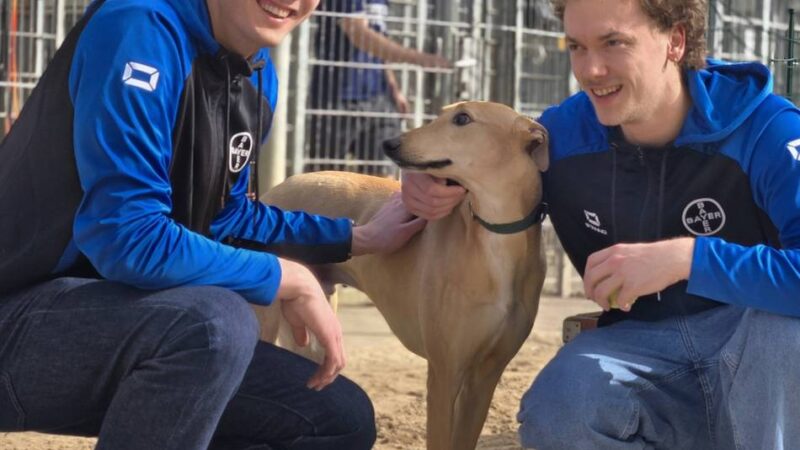 Profi-Sportler mit Herz für Hunde: TSV-Handballer bringen Tiere ins Rampenlicht