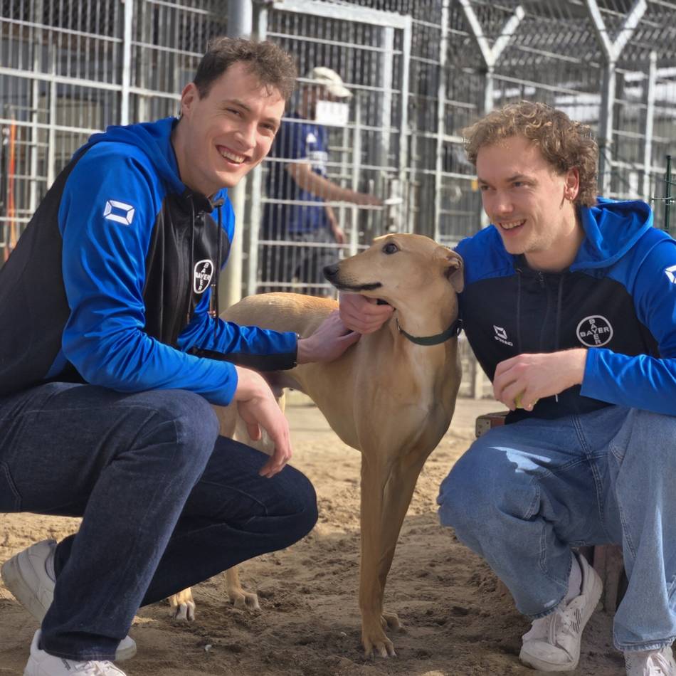 Profi-Sportler mit Herz für Hunde: TSV-Handballer bringen Tiere ins Rampenlicht