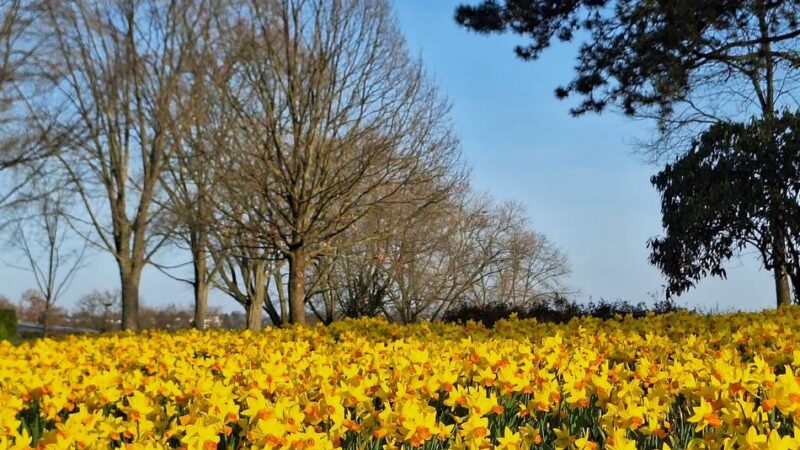 Frühlingsfreuden in Hilden, Haan, Erkrath: So schön kündigt sich der Frühling an