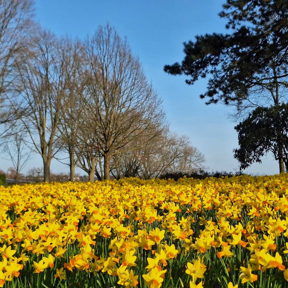 Frühlingsfreuden in Hilden, Haan, Erkrath: So schön kündigt sich der Frühling an
