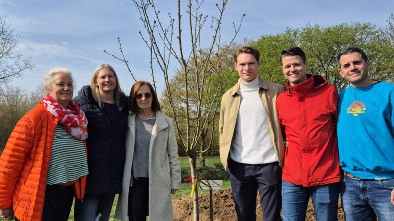 Meerbusch-Gymnasium erinnert an Lehrer: Ein Baum für Klaus Winkelmann